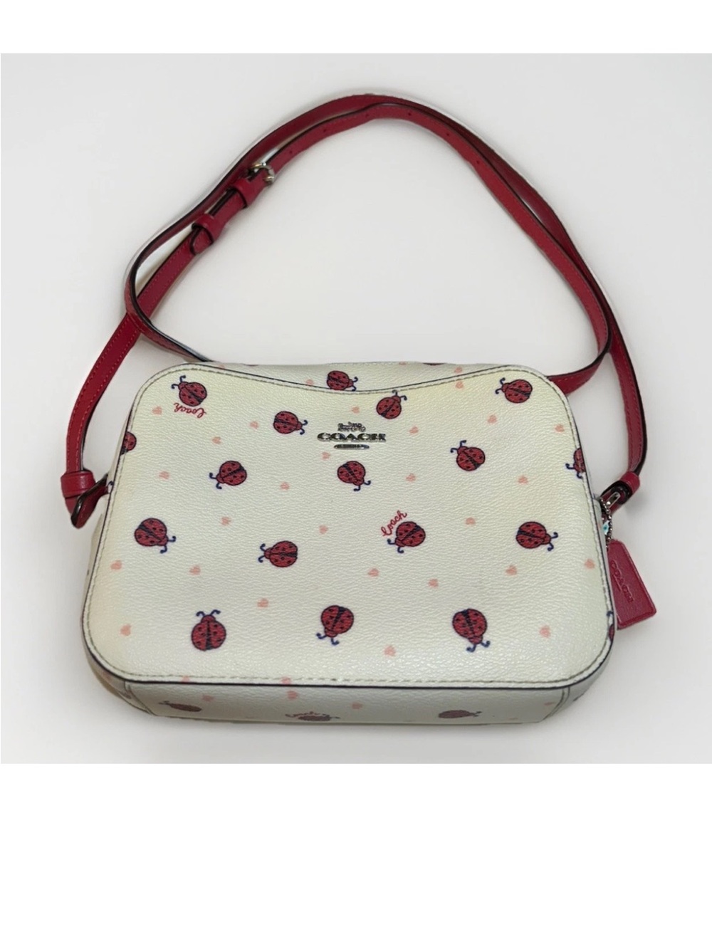 Coach Crossbody Camera Bag-Chalk Pebbled Leather, Ladybugs and Pink Hearts Print